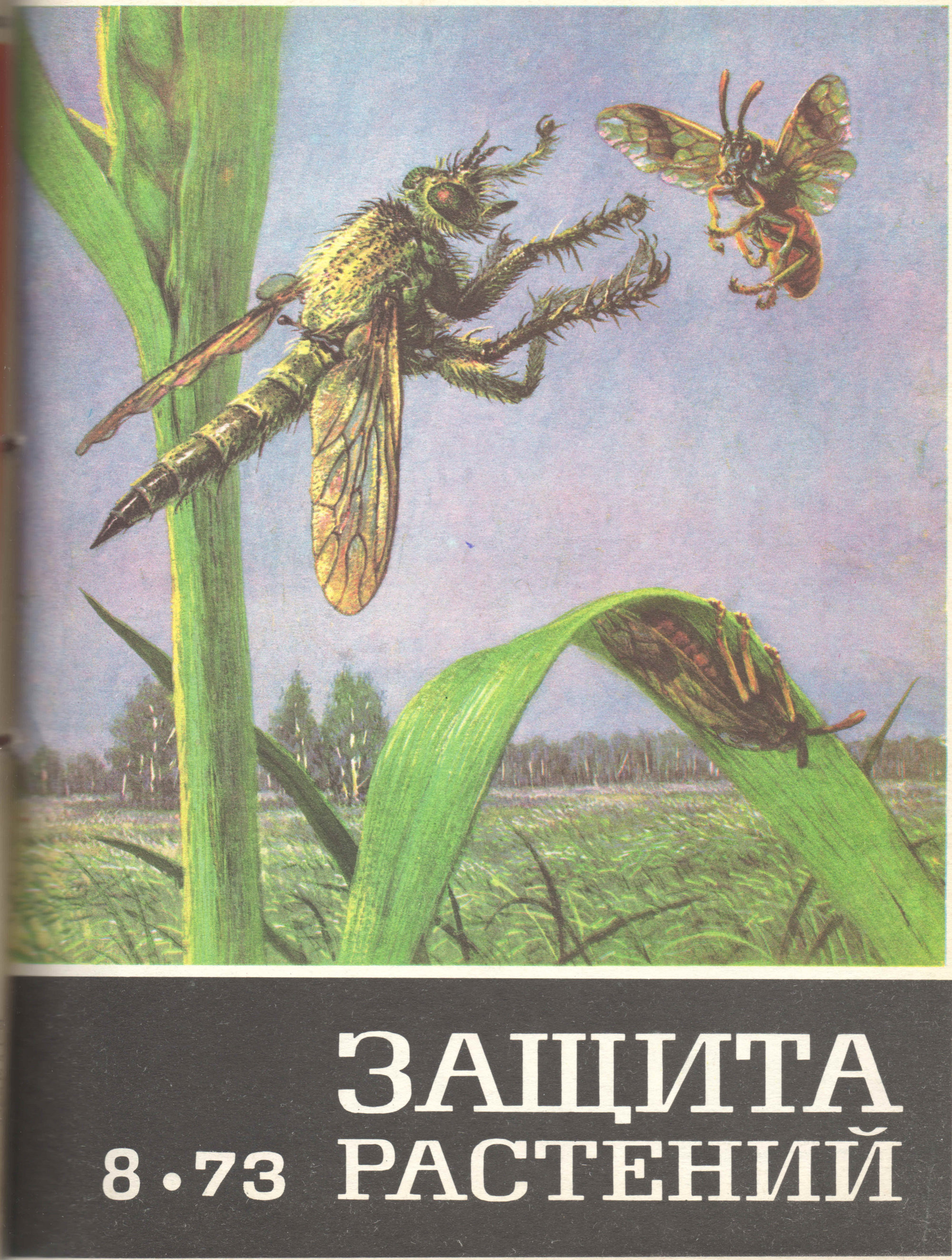 Ктырь. В.С. Гребенников. Защита растений, 1973, №8, обложка. Фотокопия