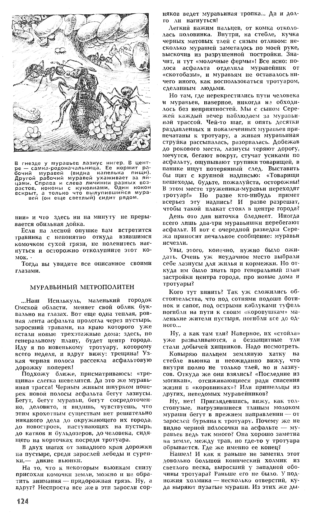 Миллион загадок. В.С. Гребенников. Наука и жизнь, 1971, №12, с.122-125. Фотокопия №3