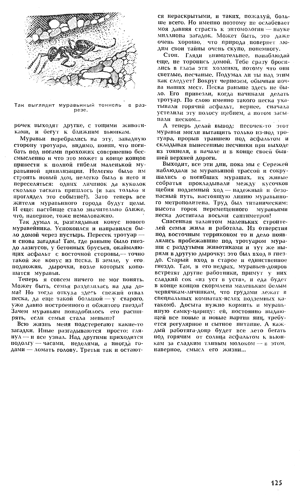 Миллион загадок. В.С. Гребенников. Наука и жизнь, 1971, №12, с.122-125. Фотокопия №4