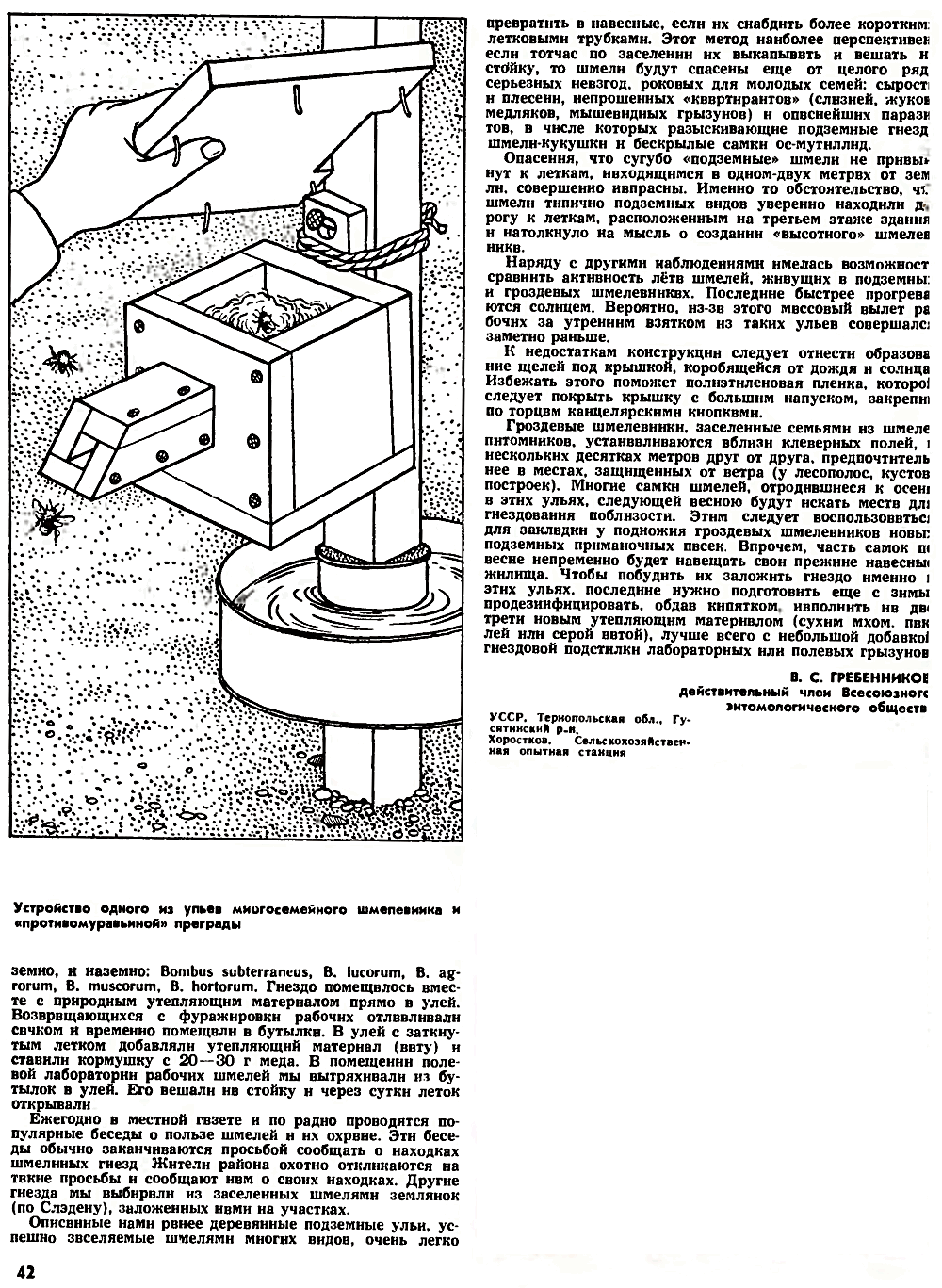 Многосемейный гроздевой шмелевник. В.С. Гребенников. Пчеловодство, 1972, №9, с.41-42. Фотокопия №2