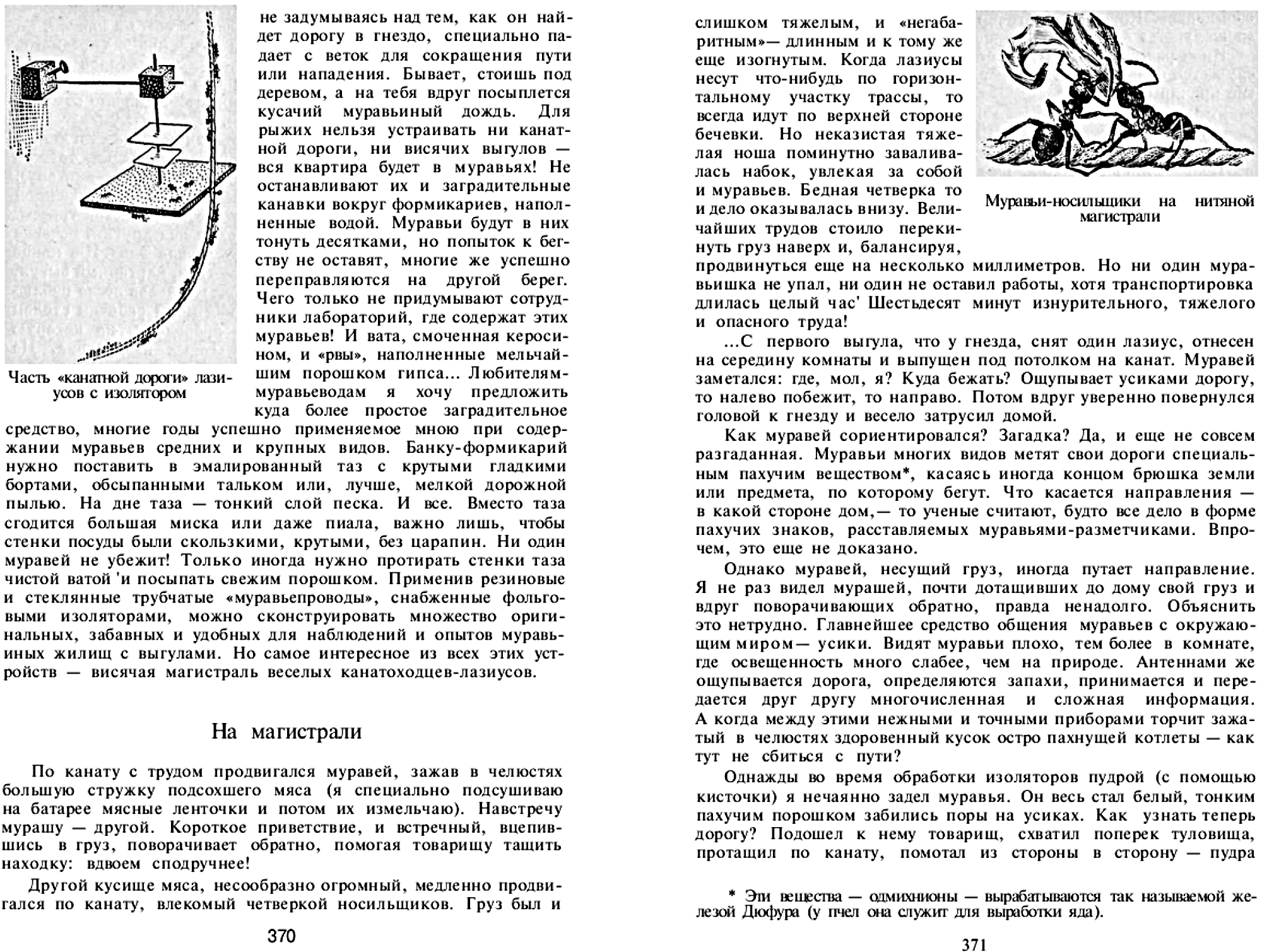 Мои шестиногие друзья. Записки энтомолога-доместикатора. В.С. Гребенников. В сб. На суше и на море, Москва, Мысль, 1972, с.352-375. Фотокопия №10