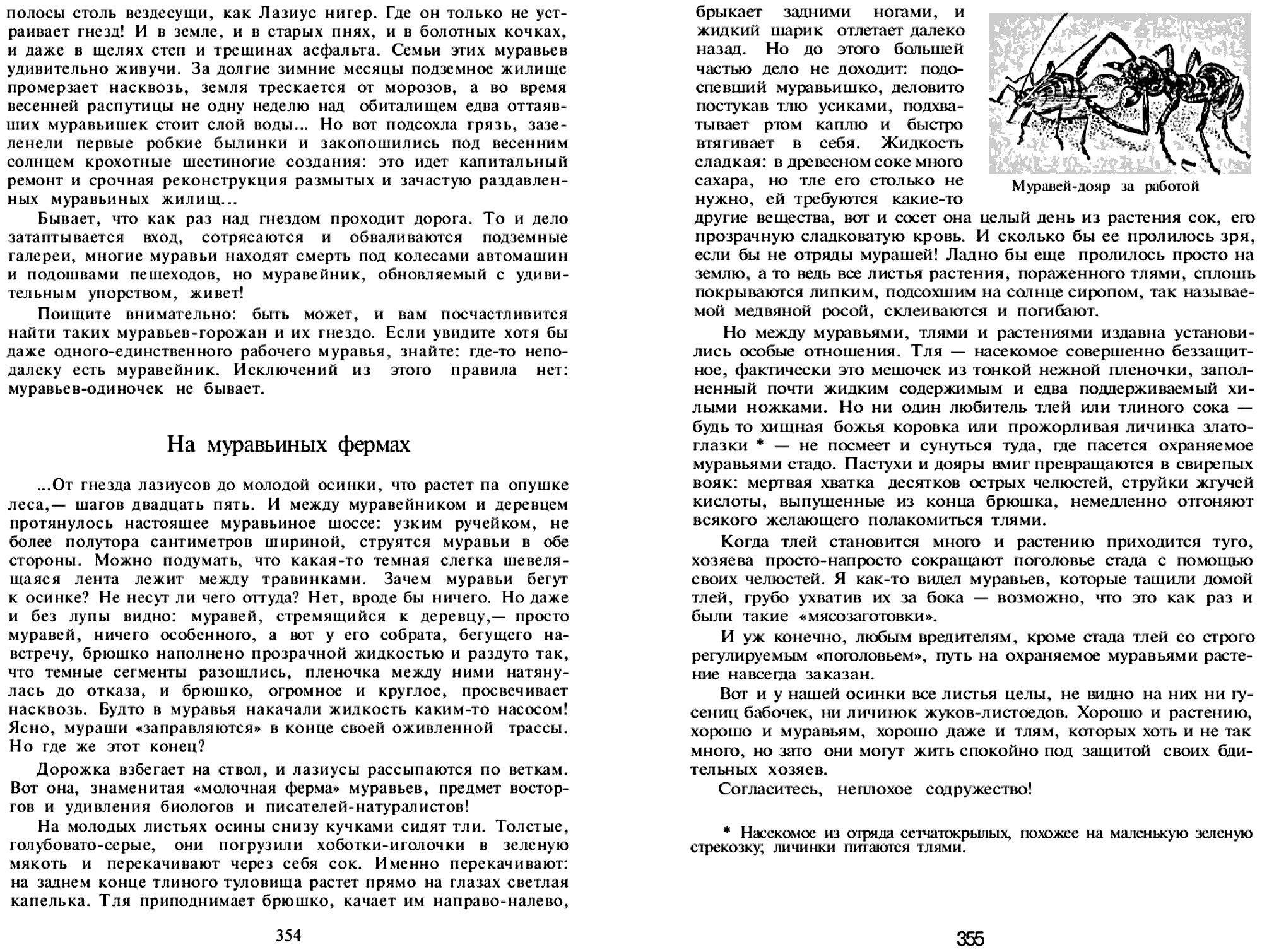 Мои шестиногие друзья. Записки энтомолога-доместикатора. В.С. Гребенников. В сб. На суше и на море, Москва, Мысль, 1972, с.352-375. Фотокопия №2