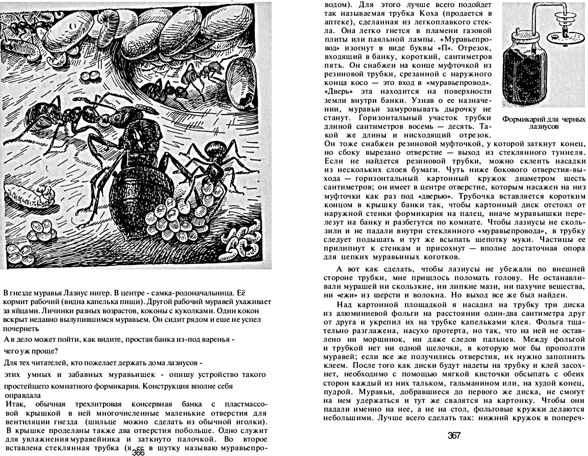 Мои шестиногие друзья. Записки энтомолога-доместикатора. В.С. Гребенников. В сб. На суше и на море, Москва, Мысль, 1972, с.352-375. Фотокопия №8