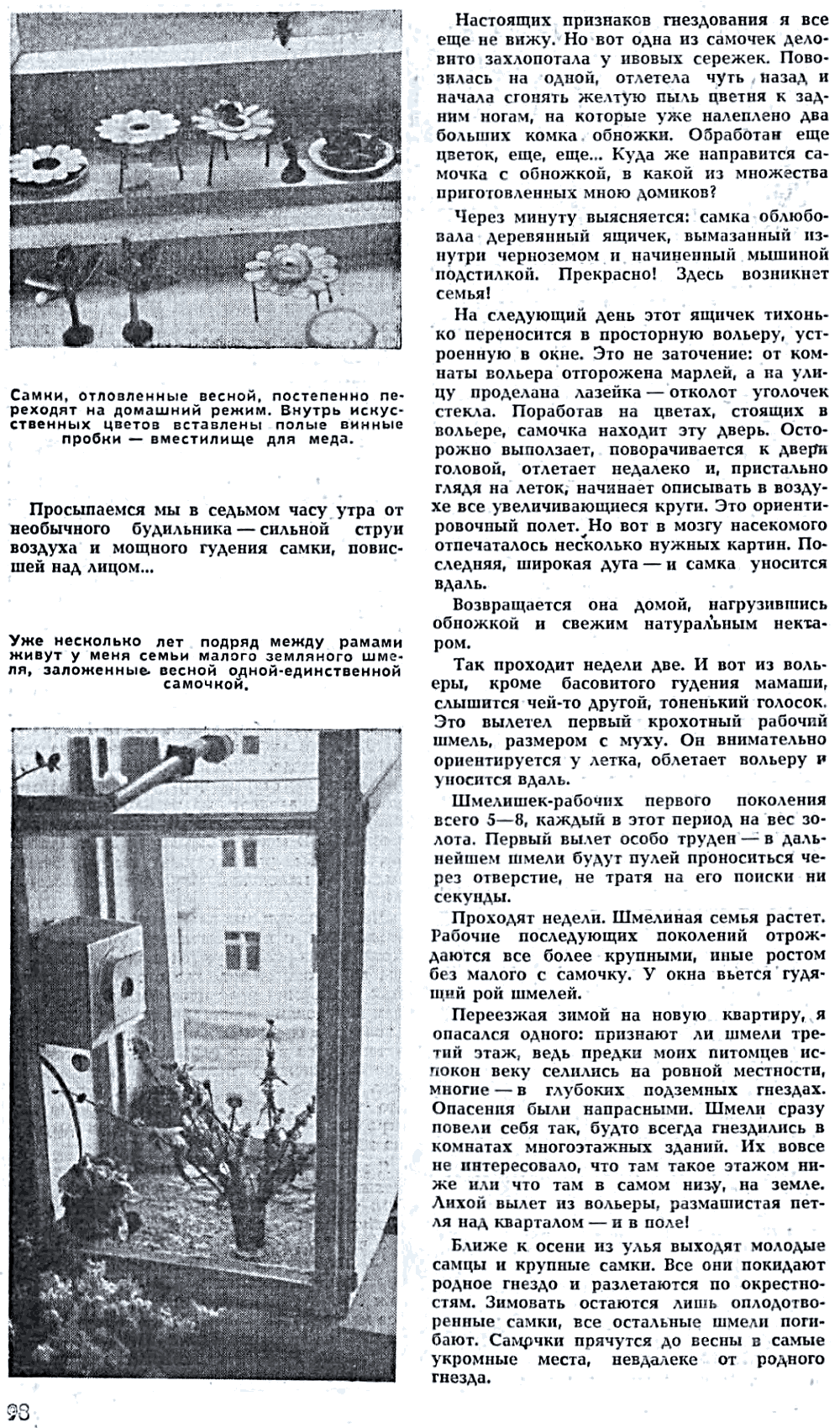 Мои шмели. В.С. Гребенников. Наука и жизнь, 1972, №4, с.97-101 (вкладка). Фотокопия №3