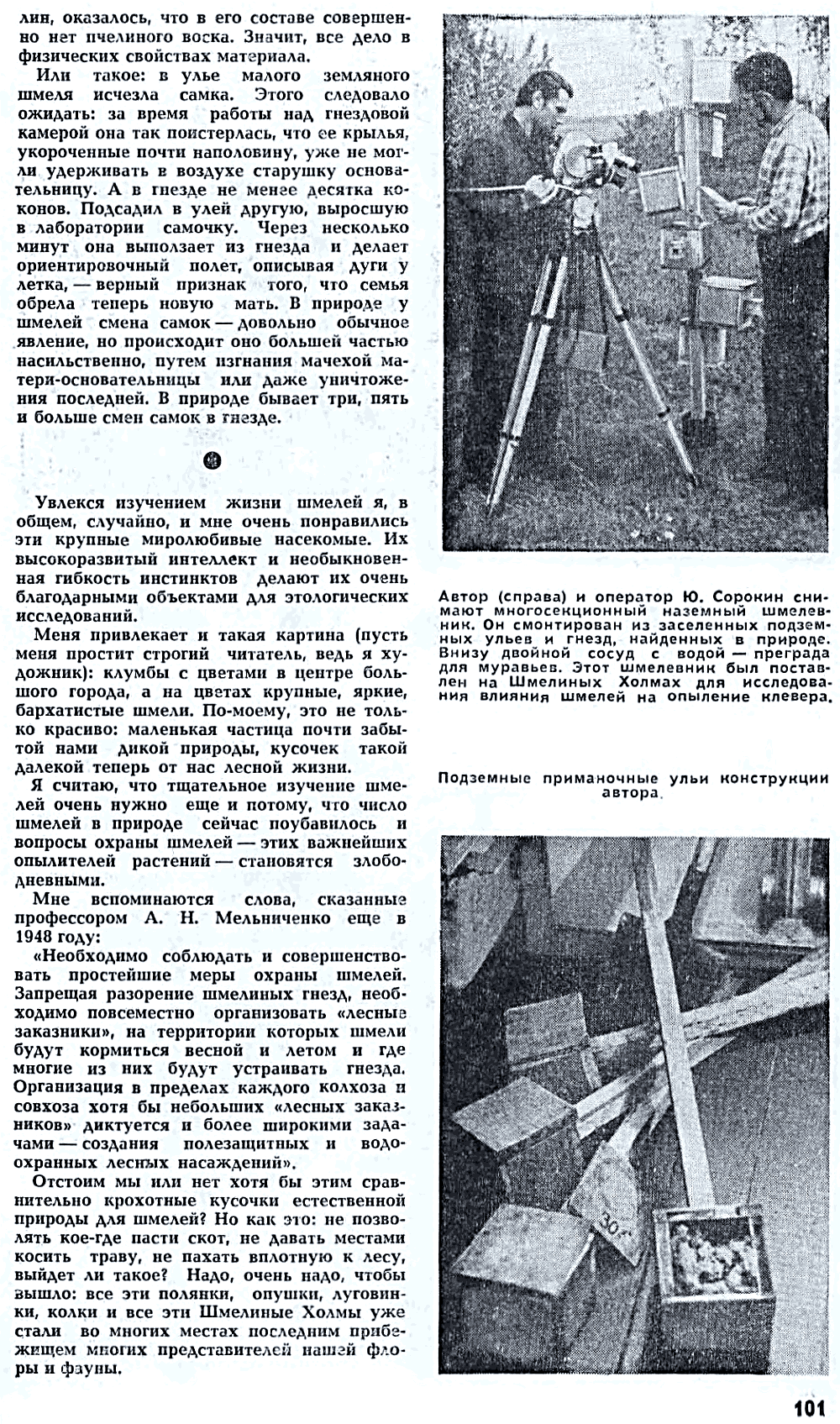 Мои шмели. В.С. Гребенников. Наука и жизнь, 1972, №4, с.97-101 (вкладка). Фотокопия №6