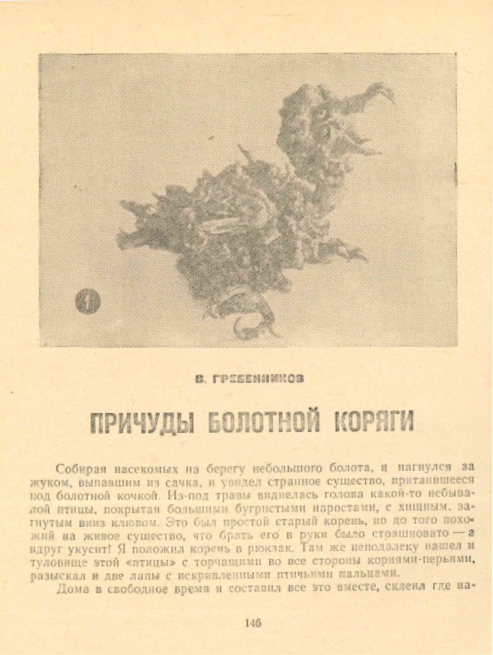 Причуды болотной коряги. В.С. Гребенников. В кн.: С добрым утром! Составители: Н.П. Осинин, Е.К. Стюарт, Л.А. Чикин, Новосибирск, Западно-Сибирское книжное издательство, 1965, с.146-151. Фотокопия №1