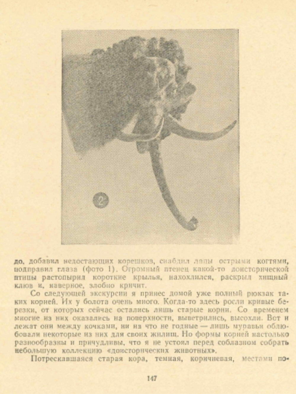 Причуды болотной коряги. В.С. Гребенников. В кн.: С добрым утром! Составители: Н.П. Осинин, Е.К. Стюарт, Л.А. Чикин, Новосибирск, Западно-Сибирское книжное издательство, 1965, с.146-151. Фотокопия №2