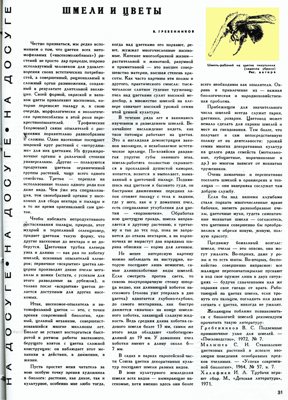 Шмели и цветы. В.С. Гребенников. Цветоводство, 1973, №10, с.31. Фотокопия