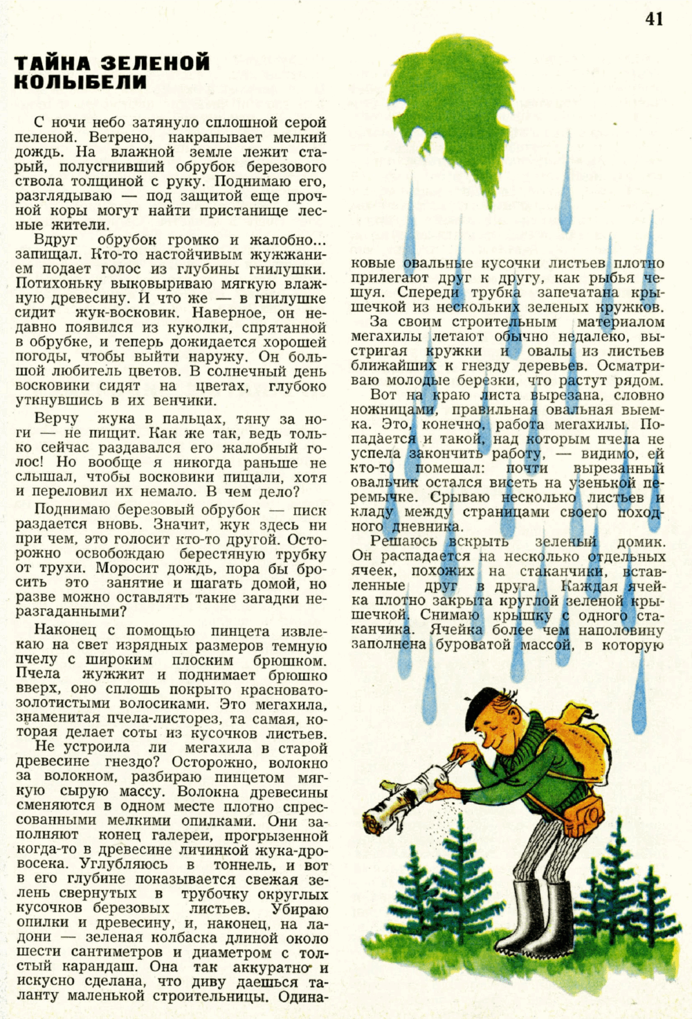 Тайна зеленой колыбели. В.С. Гребенников. Юный натуралист, 1969, №6, с.40-42. Фотокопия №2