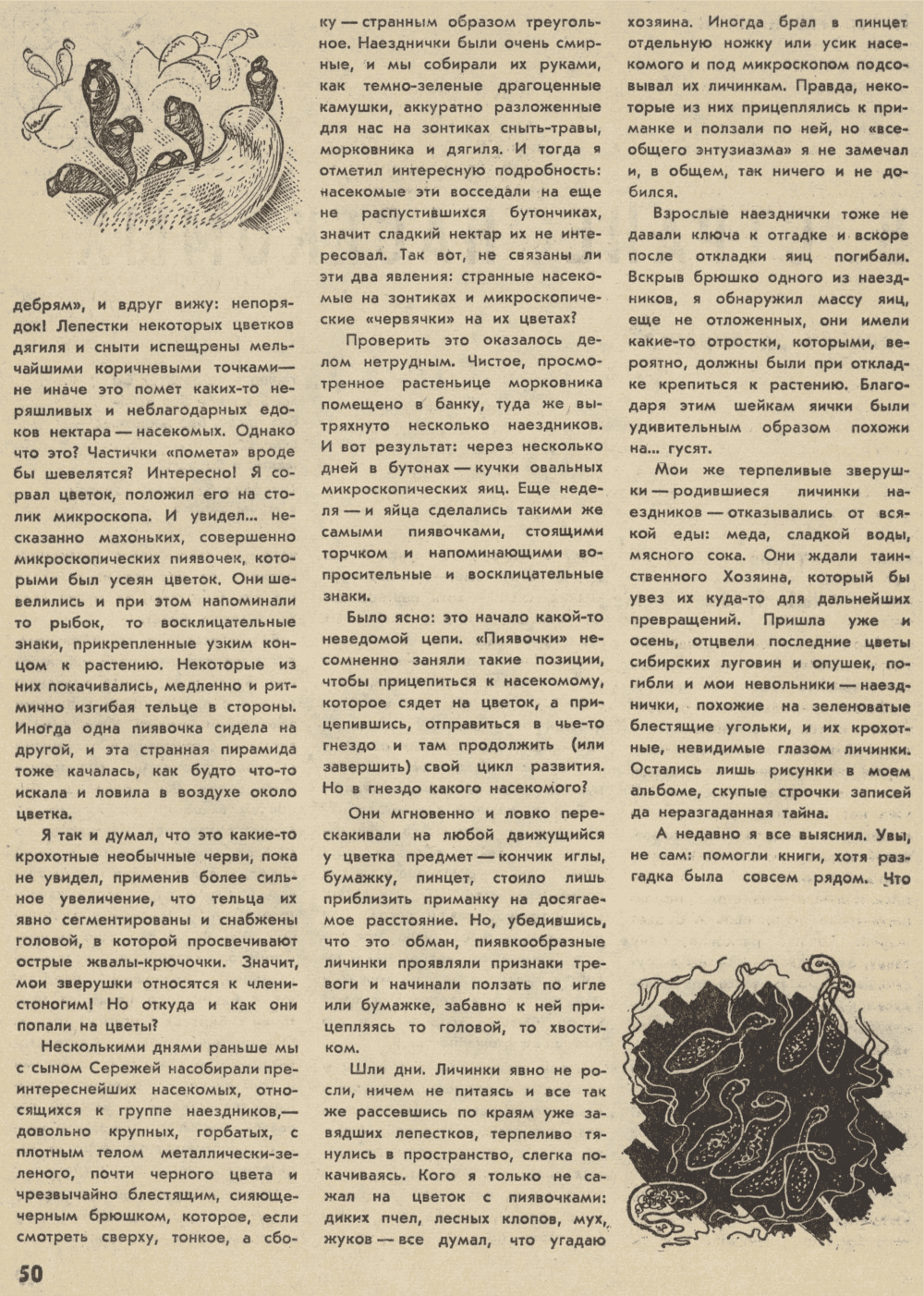 В стране насекомых. В.С. Гребенников. Уральский следопыт, 1974, №5, с.49-54 (цветная вкладка). Фотокопия №3