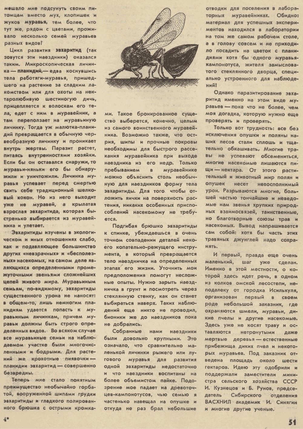 В стране насекомых. В.С. Гребенников. Уральский следопыт, 1974, №5, с.49-54 (цветная вкладка). Фотокопия №4