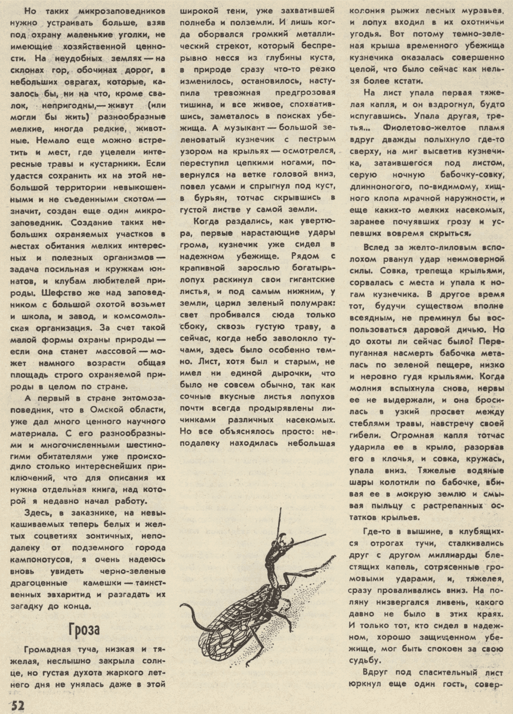 В стране насекомых. В.С. Гребенников. Уральский следопыт, 1974, №5, с.49-54 (цветная вкладка). Фотокопия №5