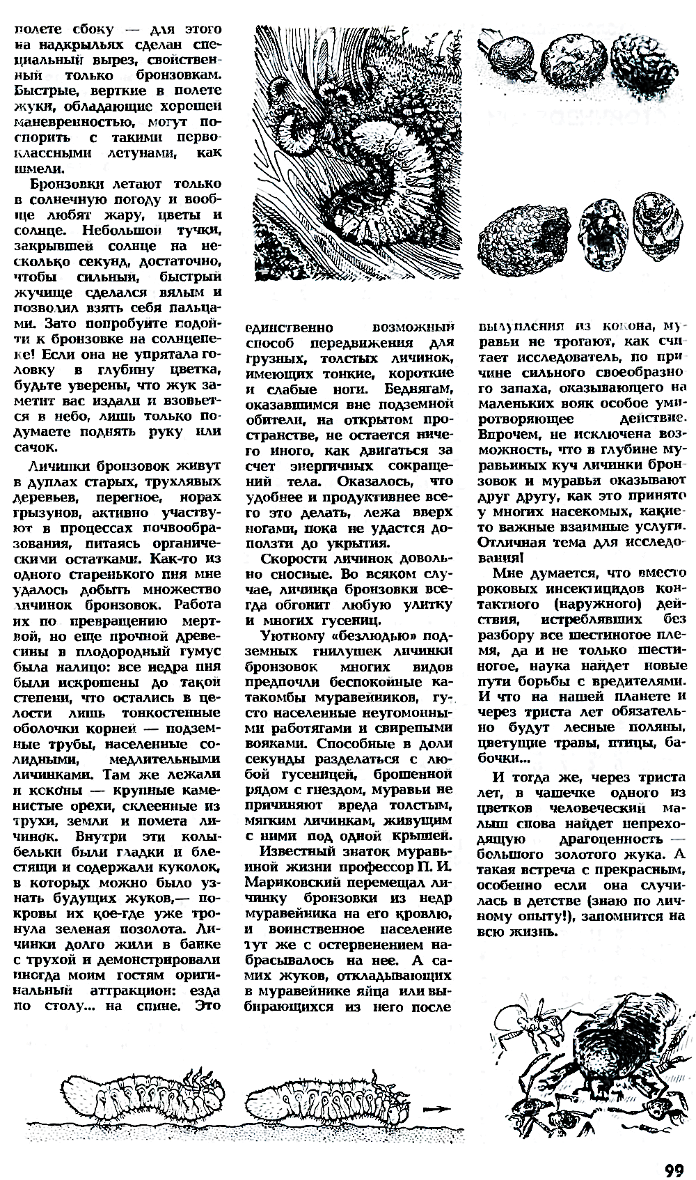 Встречи с бронзовками. В.С. Гребенников. Наука и жизнь, 1973, №9, с.97-99 (вкладка). Фотокопия №4