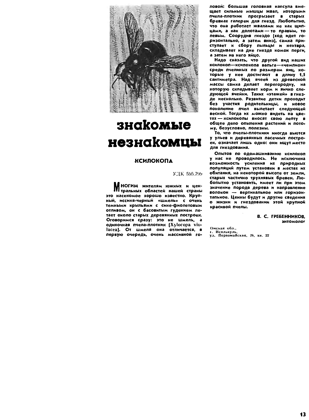 Знакомые незнакомцы. Ксилопа. В.С. Гребенников. Пчеловодство, 1971, №10, с.13. Фотокопия