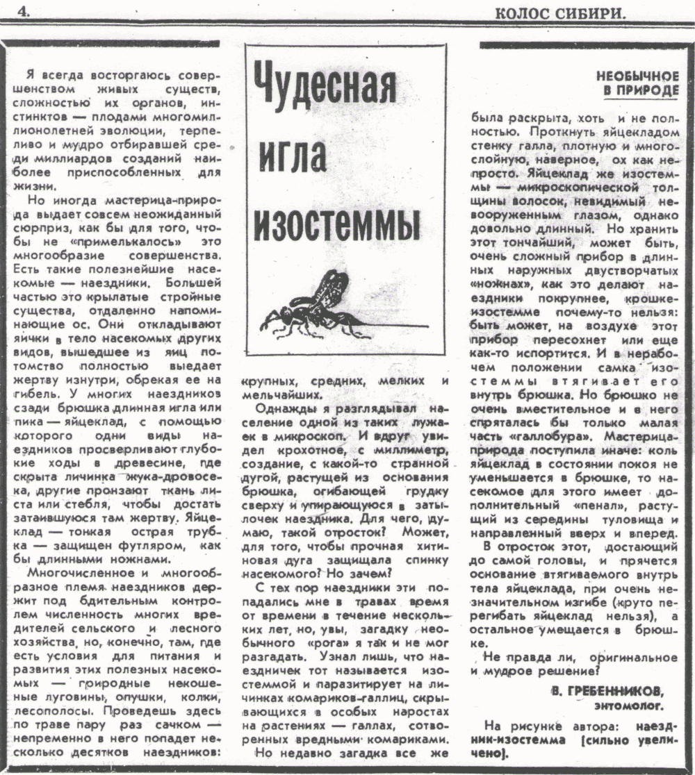 Чудесная игла изостеммы. В.С. Гребенников. Колос Сибири, 24.09.1978.