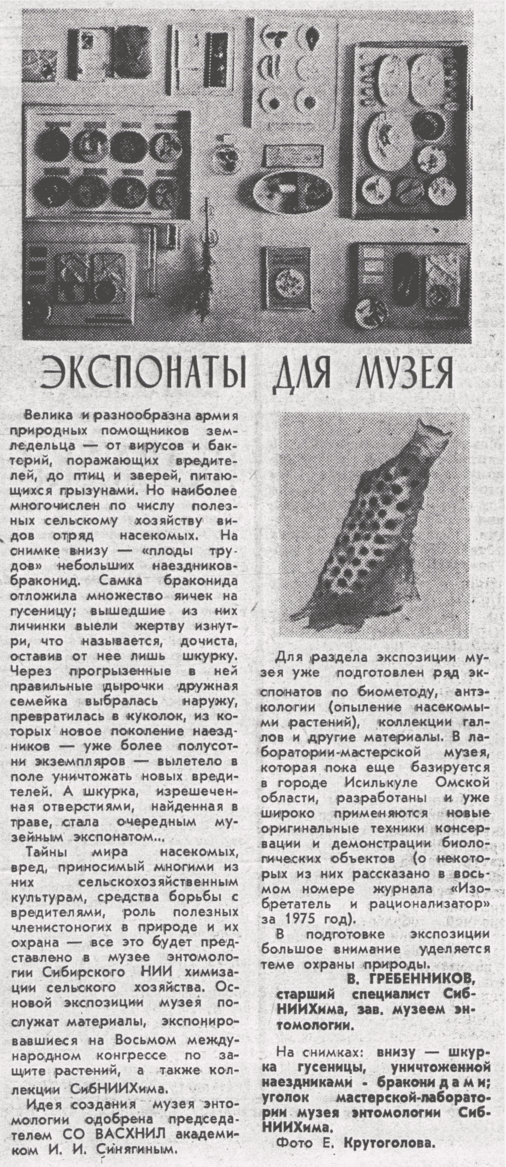 Экспонаты для музея. В.С. Гребенников. Колос Сибири, 19.10.1975.