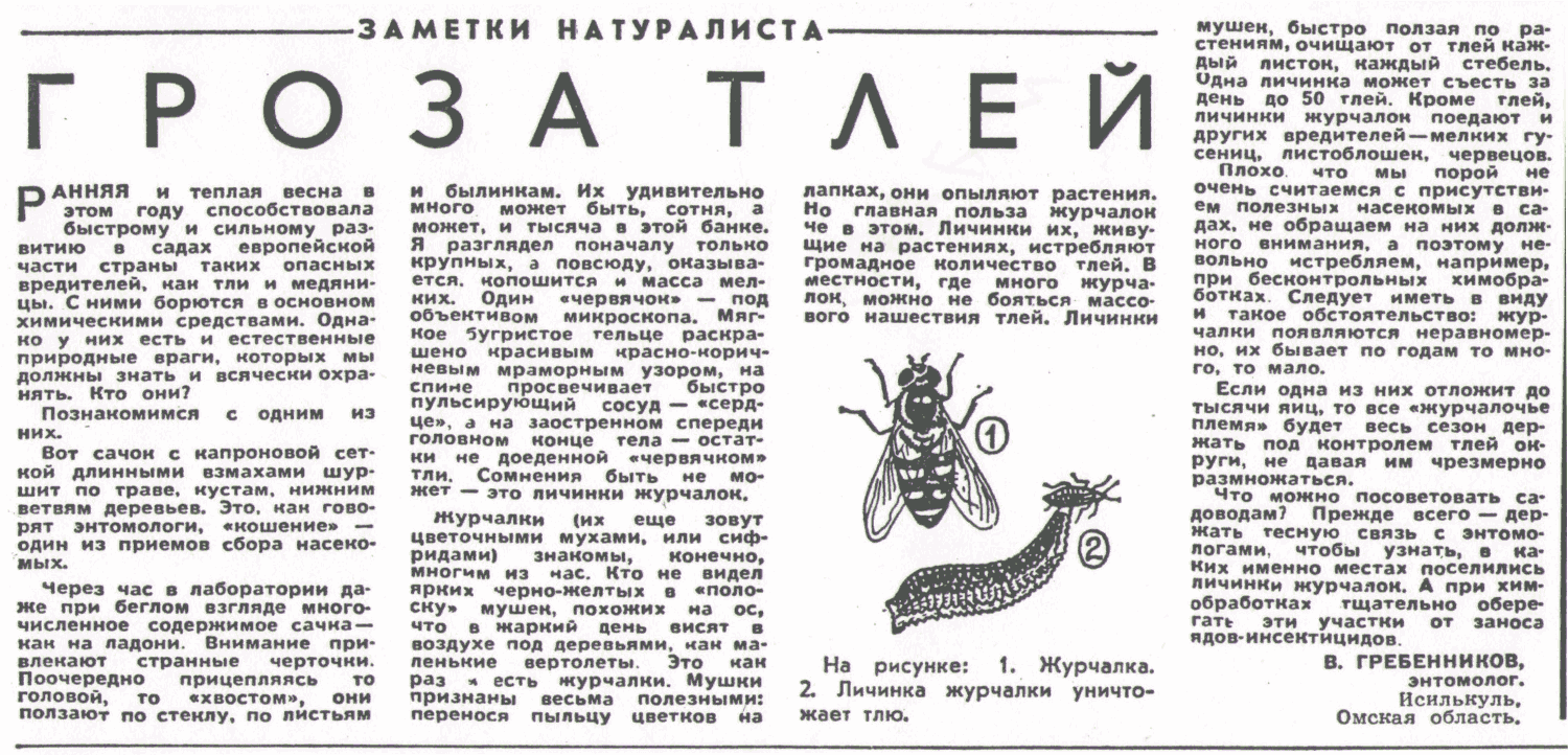 Гроза тлей. В.С. Гребенников. Сельская жизнь, 14.05.1975.