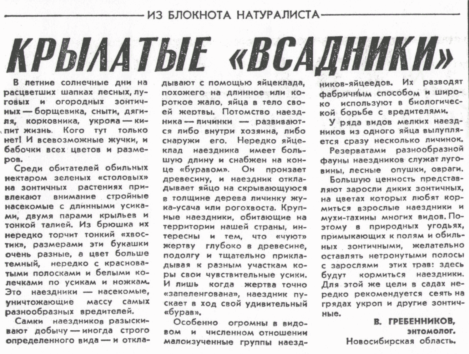 Крылатые всадники. В.С. Гребенников. Сельская жизнь, 02.08.1977.