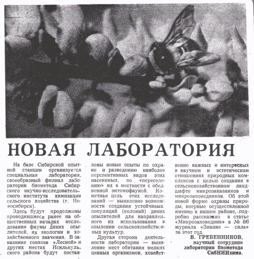 Новая лаборатория. В.С. Гребенников. Знамя (Исилькульский р-н, Омской обл.), 19.07.1973.