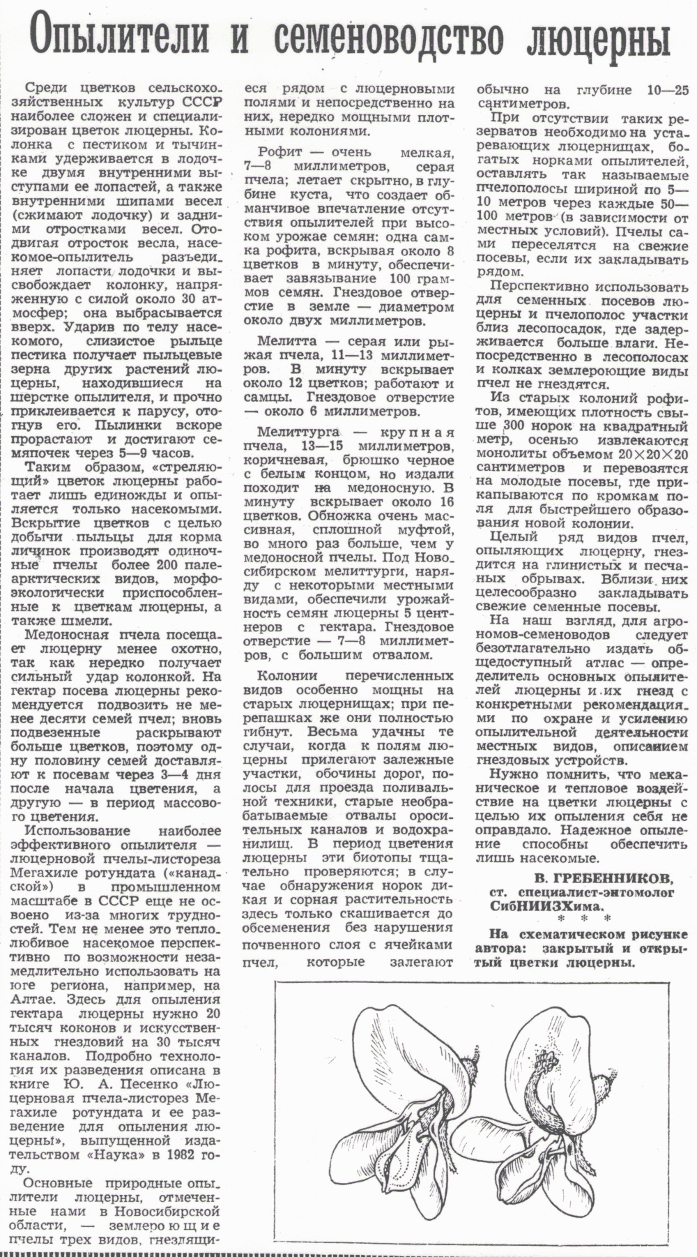 Опылители и семеноводство люцерны. В.С. Гребенников. Колос Сибири, 26.07.1983.