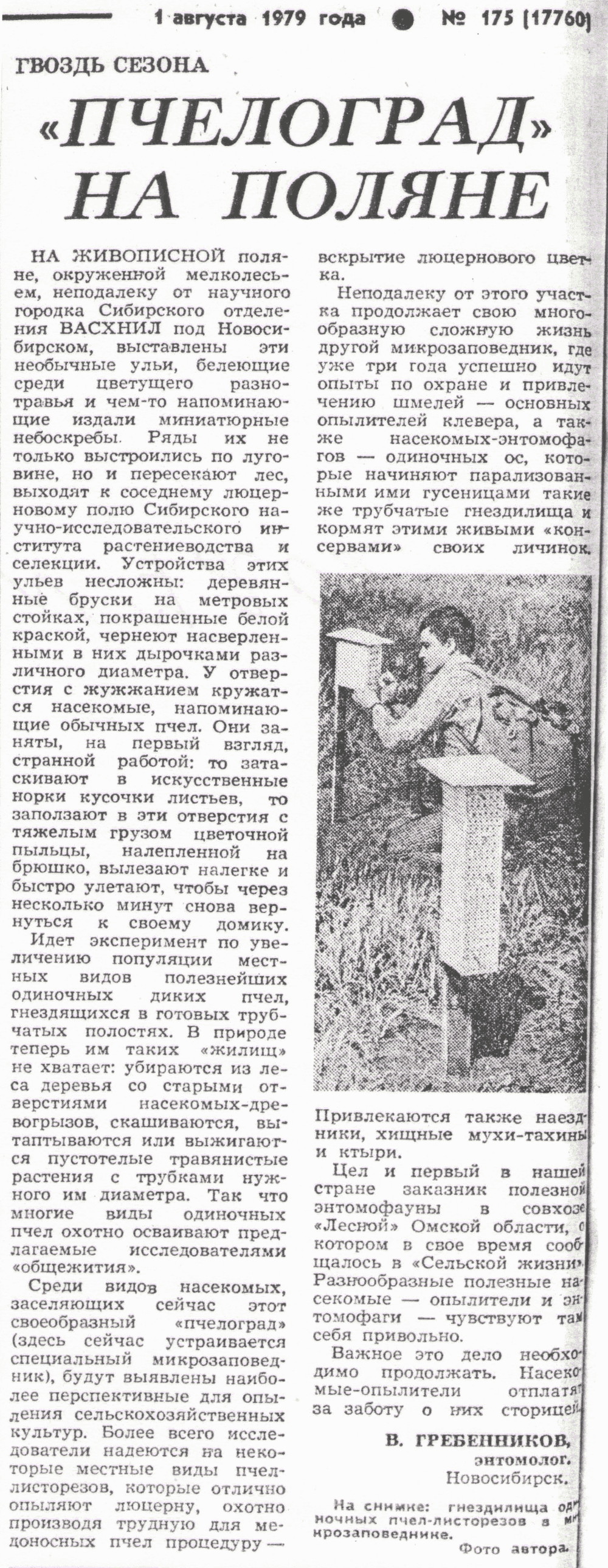Пчелоград на поляне. В.С. Гребенников. Сельская жизнь, 01.08.1979.