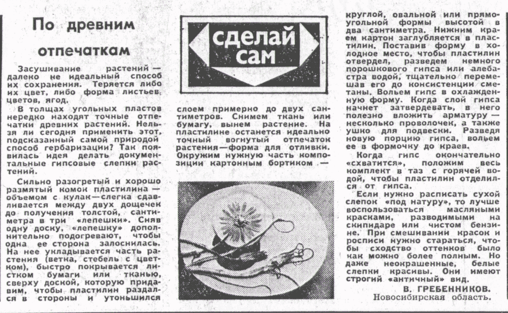 По древним отпечаткам. В.С. Гребенников. Сельская жизнь, 01.06.1976.
