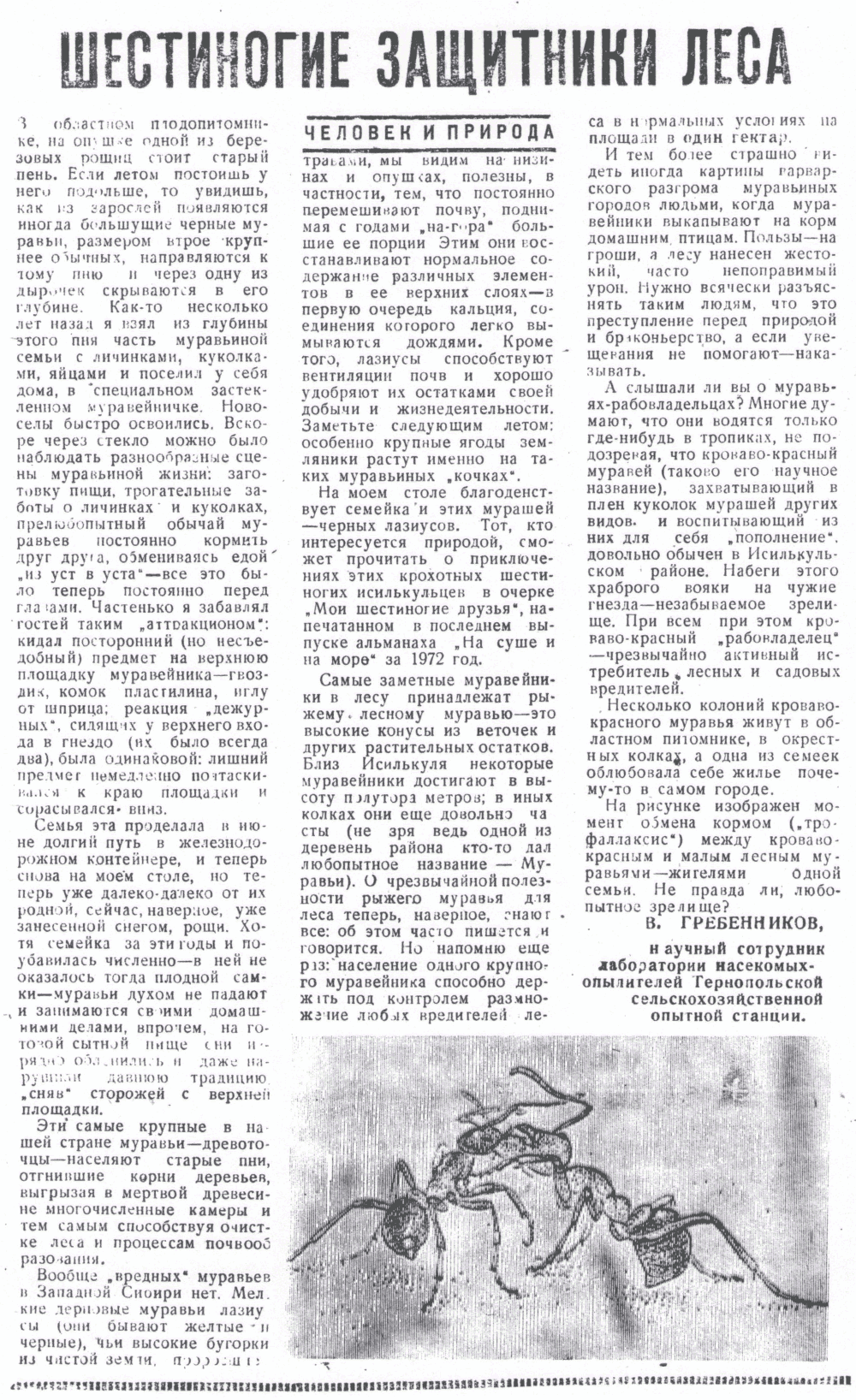 Шестиногие защитники леса. В.С. Гребенников. Знамя (Исилькульский р-н, Омской обл.), 11.11.1972.