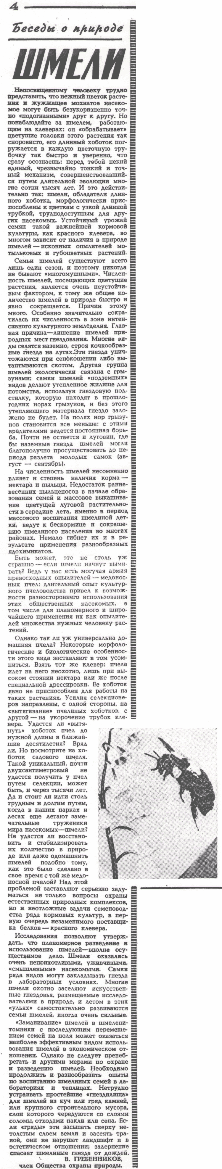 Шмели. В.С. Гребенников. Сельская жизнь, 04.06.1972.