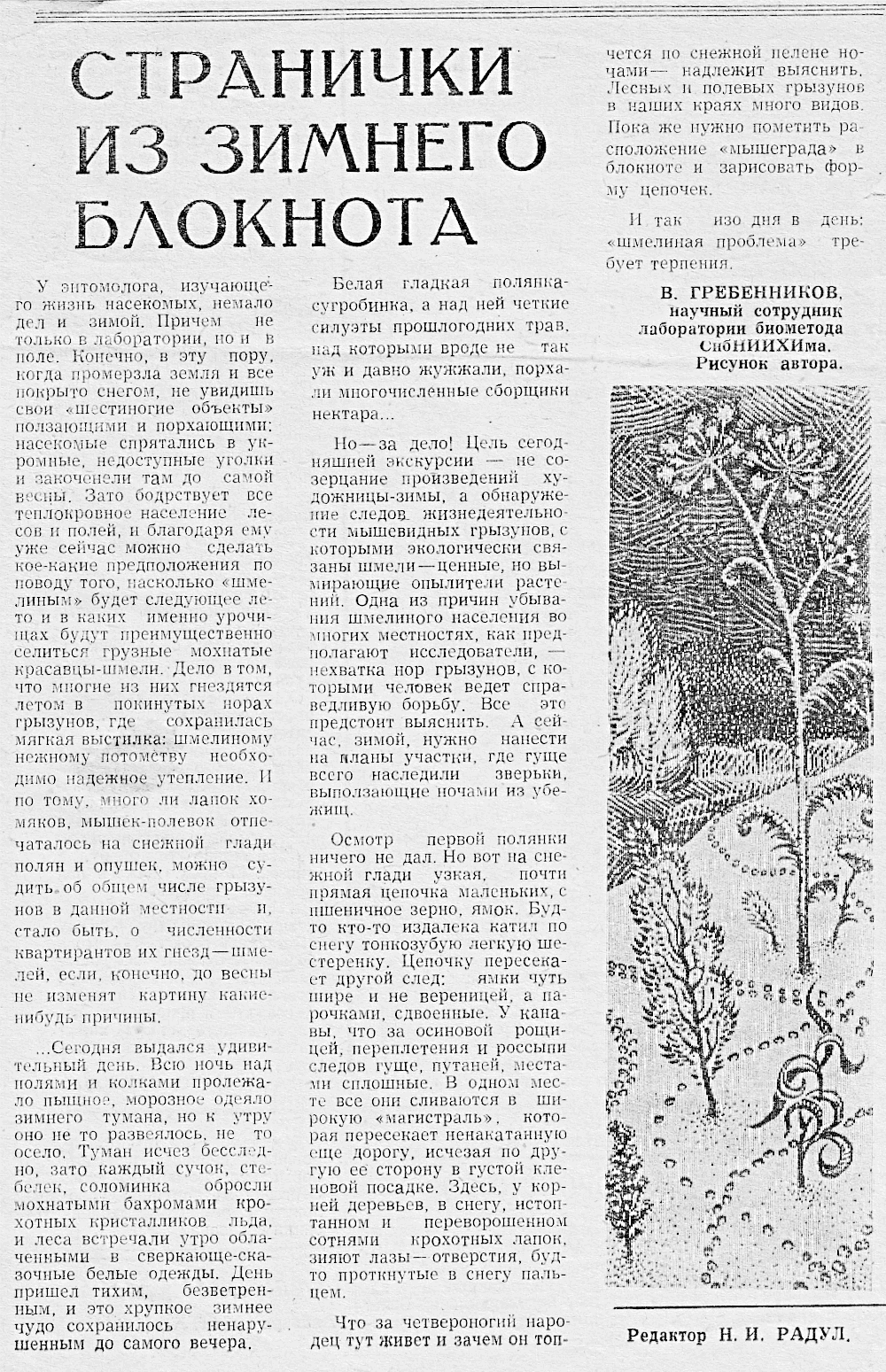 Странички из зимнего блокнота. В.С. Гребенников. Знамя (Исилькульский р-н, Омской обл.), 17.01.1974.