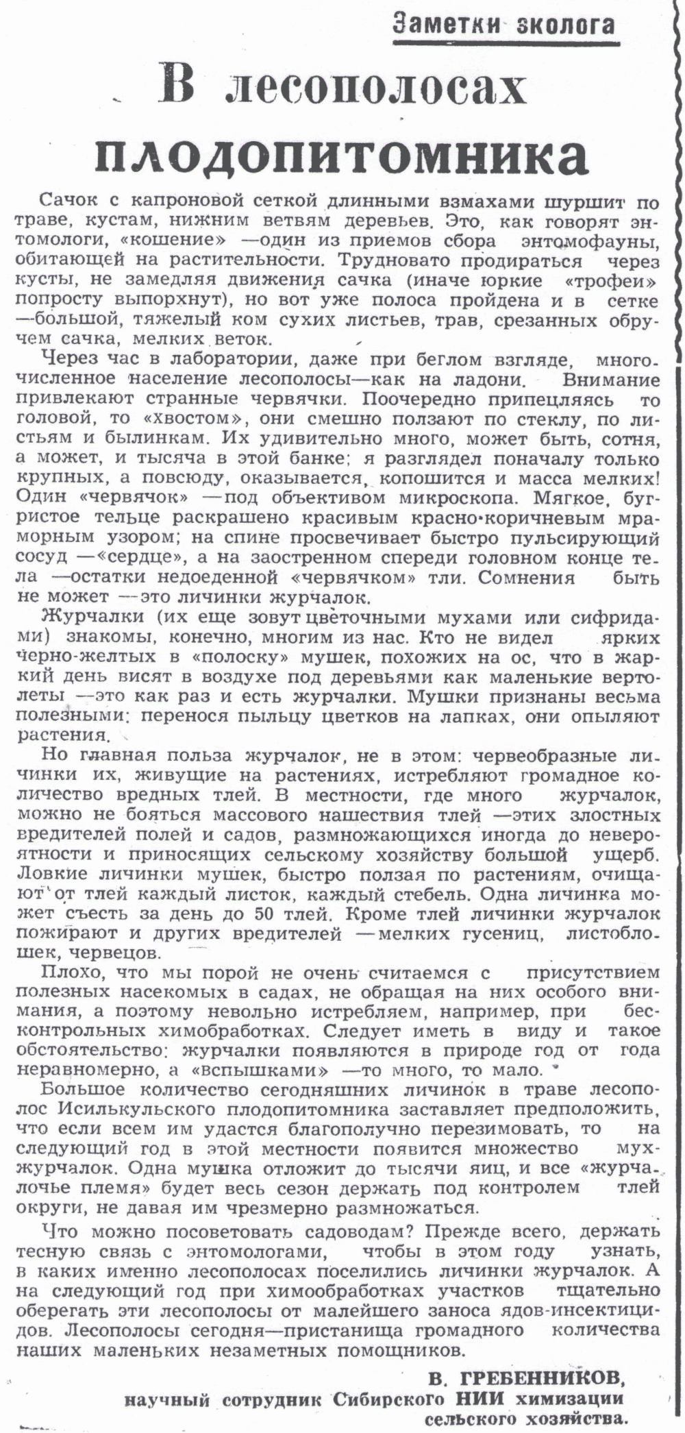 В лесополосах плодопитомника. В.С. Гребенников. Знамя (Исилькульский р-н, Омской обл.), 10.10.1974.