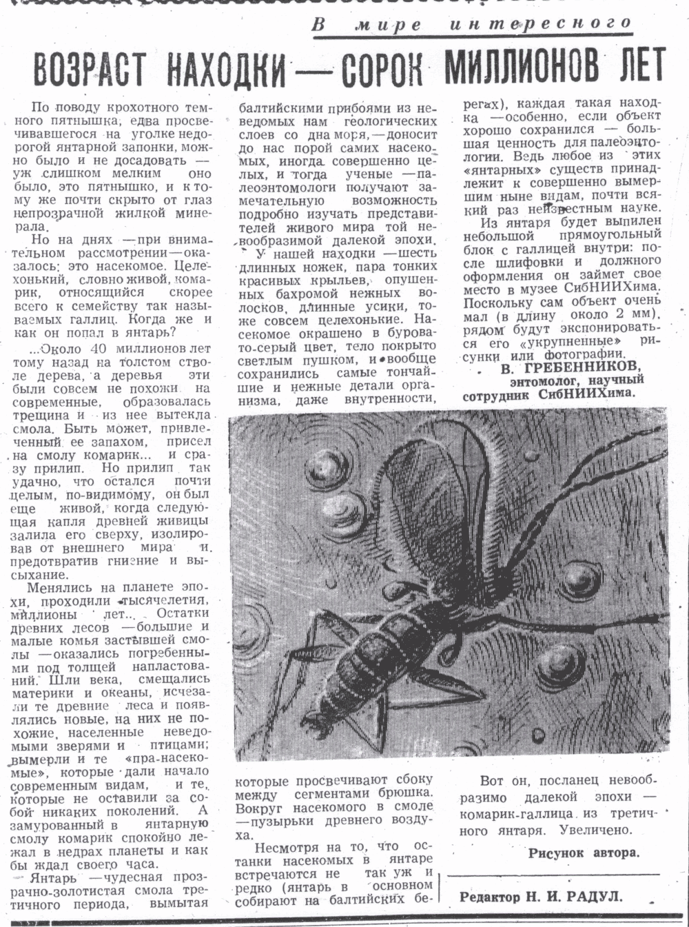Возраст находки - 40 миллионов лет. В.С. Гребенников. Знамя (Исилькульский р-н, Омской обл.), 25.07.1974.