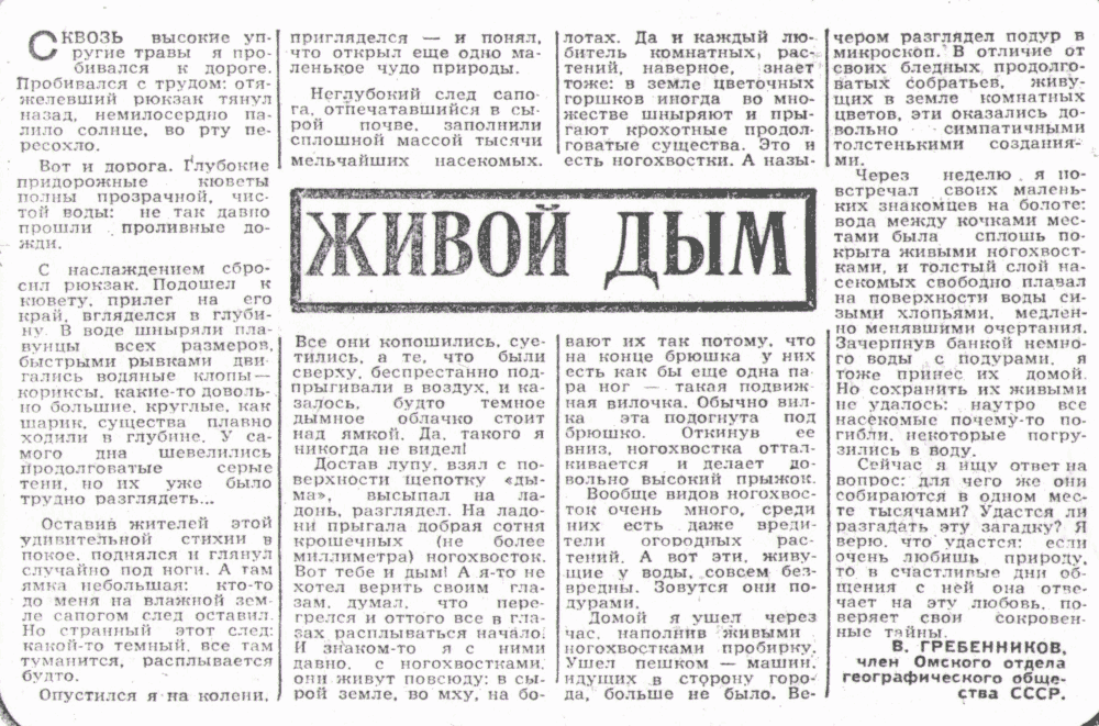 Живой дым. В.С. Гребенников. Омская правда, 08.08.1967.